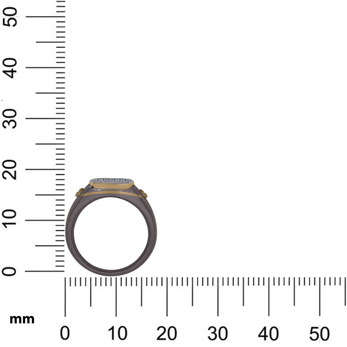 Men's cushion pave moissanite signet ring in 10k gold and titanium featuring a polished band and sparkling gemstone details.