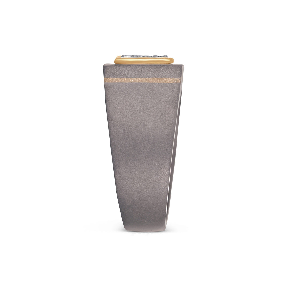 Men's rectangular pave moissanite signet ring in 10k gold and titanium, featuring a sleek design and sparkling gemstones.
